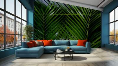 Green leaf layout, dark tropical tone, creative, Wang Rabat natural summer concept, Phuket Thailand Wall mural