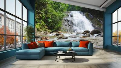 Ton Chong Fa,in the forest tropical zone ,national park Takua pa Phang Nga Thailand Wall mural