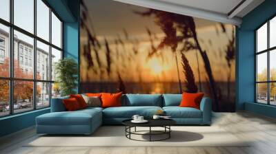 Beachgrass growing sunset beach in beautiful dusk nature horizon background. Wall mural