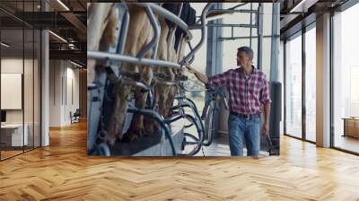 Business owner inspecting milking carousel on dairy farm. Man checking facility. Wall mural