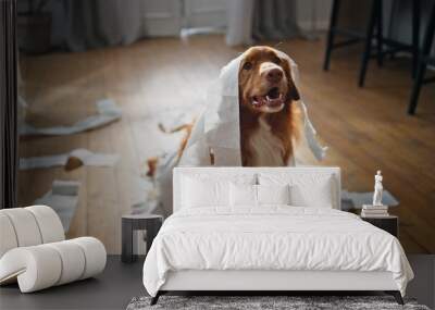 Dog have fun toilet paper in apartment close up. Playful pet wrapped in napkins Wall mural