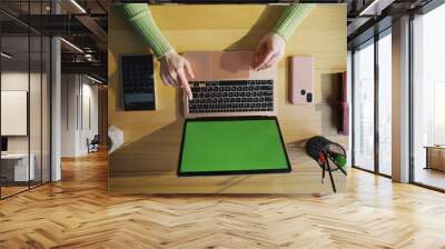 Freelancer fingers touching buttons at table closeup. Woman hands typing laptop Wall mural