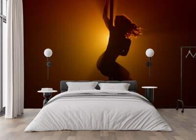 Silhouette woman pole dancing emotionally on nightclub. Lady spinning seductive  Wall mural