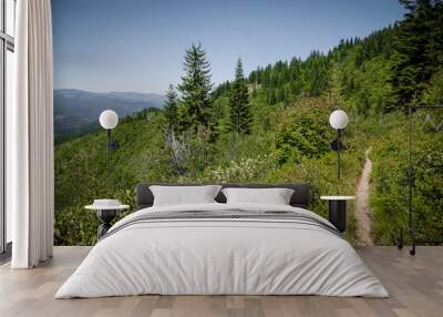 Dirt trail on steep hillside of mountain in Kellogg Idaho looking out over mountain valleys Wall mural