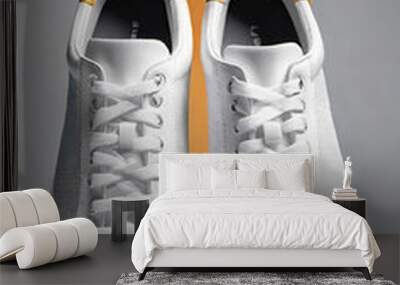 pair of shoes Wall mural