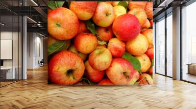 Apples Wall mural