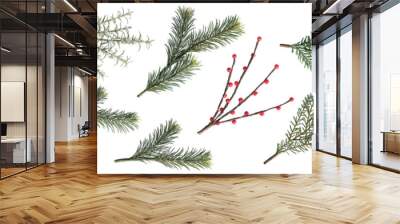 Christmas fir branches and berry set isolated on white background, element for decoration of christmas. Wall mural