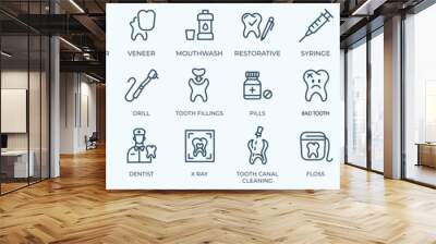 Dental elements stroke pictogram and minimal thin line web icon set. Outline icons collection. Simple illustration Wall mural