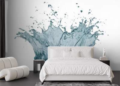 Natural water splash on a Transparent Background Wall mural