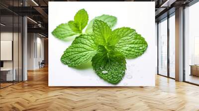 Wet mint leaves white background Wall mural