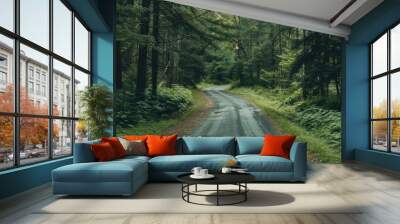 A tarred road weaves through lush evergreen forests with a thick growth of conifer trees under a partly sunny sky, providing a picturesque copy space image. Wall mural