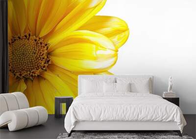 Isolated yellow flower with copy space image. Wall mural