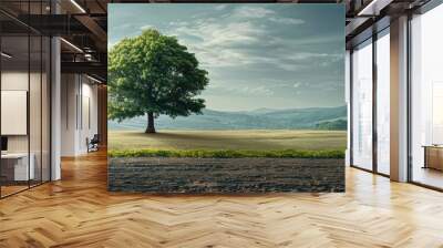 Lonely tree standing alone in an empty rural field with a vast expanse of beauty around it perfect for a copy space image Wall mural