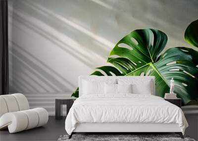 Two green leaves on white surface Wall mural