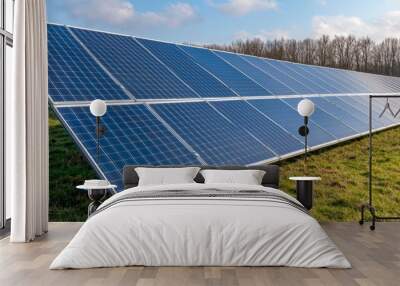 Solar Panels in a Rural Landscape Under Clear Sky Wall mural