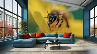 Closeup photo of a alive Bee macro 35mm close up film still photography natural light Wall mural