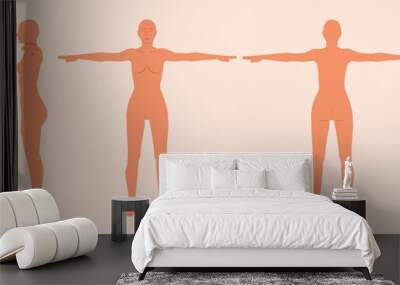 Woman body anatomy flat vector illustrations set isolated on white background. Female body medical silhouette front and back view. Female muscular body shapes. Realistic vector of a woman figure Wall mural