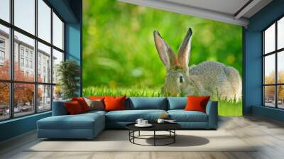 A brown rabbit with large ears grazing on a lush green lawn, blending into the surrounding vegetation. Wall mural