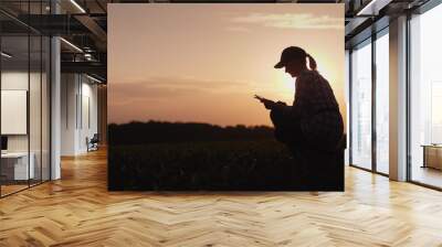 A female farmer is working in the field at sunset. Studying plant shoots, using a tablet Wall mural