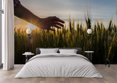 Farmer's hand stroking wheat spikelets in the rays of the setting sun Wall mural