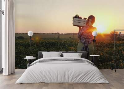 Rear view: A female farmer with a box of fresh vegetables walks along her field. Healthy Eating and Fresh Vegetables Wall mural