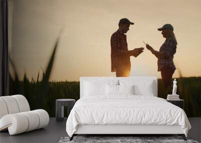 Two farmers - a man and a woman communicate against the background of a field of wheat at sunset Wall mural