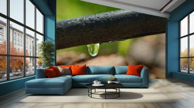 Water droplet on a drip irrigation hose. Wall mural