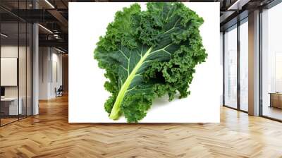 kale isolated on white background Wall mural