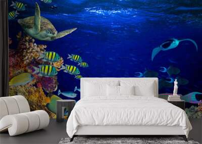 colorful wide underwater coral reef square banner background with many fishes turtle and marine life / Unterwasser Korallenriff Hintergrund quadratisch Wall mural