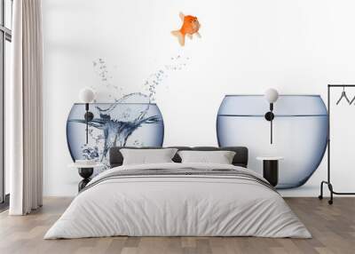 gold fish change move career opportunity rise concept jump into other bigger bowl isolated on white background Wall mural