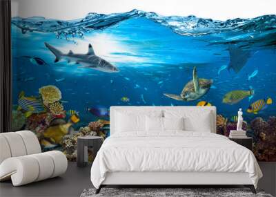 underwater paradise background coral reef wildlife nature collage with shark manta ray sea turtle colorful fish with wave in front isolated on white background Wall mural