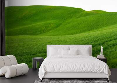 wide panorama of beautiful hilly meadow grass landscape isolated white background. vibrant spring agriculture design pattern concept Wall mural