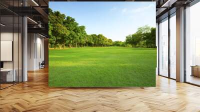 beautiful morning light in public park with green grass field an Wall mural