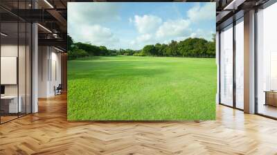 beautiful morning light in public park with green grass field an Wall mural