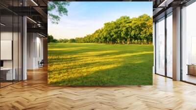 landscape of grass field and green environment public park use a Wall mural