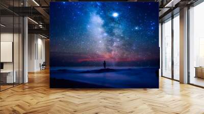 Starry night sky over sea and beach with man silhouette. man standing on sea beach under starry sky. Wall mural