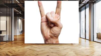 A hand making the iconic rock gesture, symbolizing music, freedom, and rebellion with enthusiasm and passion. Isolated on a transparent or white background. Wall mural