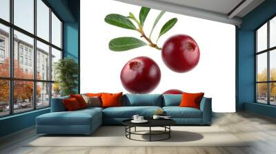 Fresh ripe cranberries with green leaves isolated on white background. High-quality image ideal for food and beverage projects. Wall mural