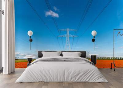 Modern high powerlines Wall mural