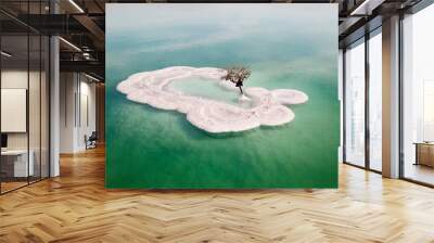 Aerial image of a Bare tree on a salt deposit in the Dead Sea Wall mural