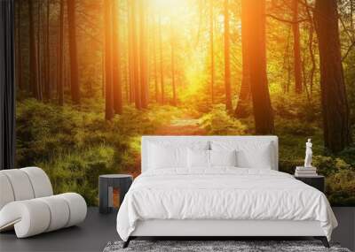 A beautiful forest path is illuminated by warm sunlight filtering through the tall trees on a calm morning. Wall mural