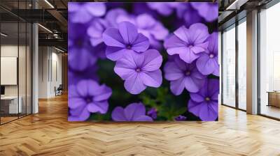 A cluster of bright purple flowers is showcased, highlighting their natural beauty and color in a garden setting. Wall mural