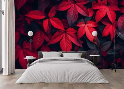 Bright red leaves create an intense and captivating contrast. Wall mural