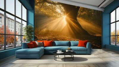 Golden sunlight beams through the trunk of a grand tree, casting warm light over a tranquil forest clearing. Wall mural