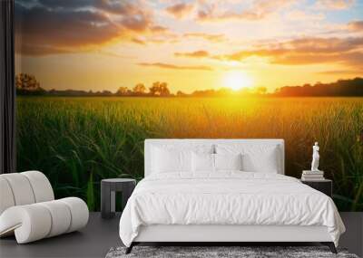 The sun rises over a green field, casting a warm glow and colors on lush grass and a partly cloudy sky. Wall mural