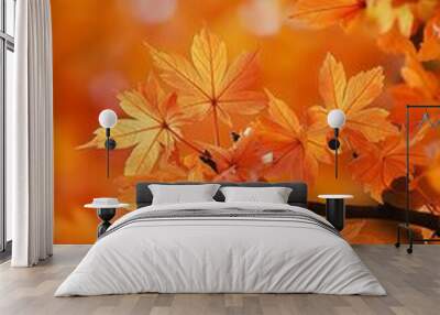 Vibrant autumn leaves on trees with a warm orange hue, symbolizing the beauty and changes of the fall season. Wall mural