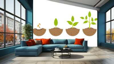 growing plant in process. on white background. Wall mural