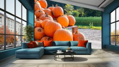 Lots and lots of stacked, freshly picked, classic halloween pumpkins. These pumpkins will soon be on the market stalls and will probably turn into lanterns. Wall mural