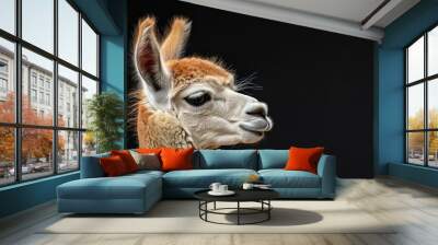 Alpaca domesticated mammal known for its soft fur and gentle demeanor, valued for its wool production and adaptability to diverse climates Wall mural