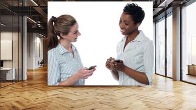 two corporate women having a discussion Wall mural